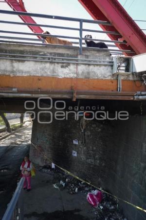 TLAXCALA . PERRO QUEMADO