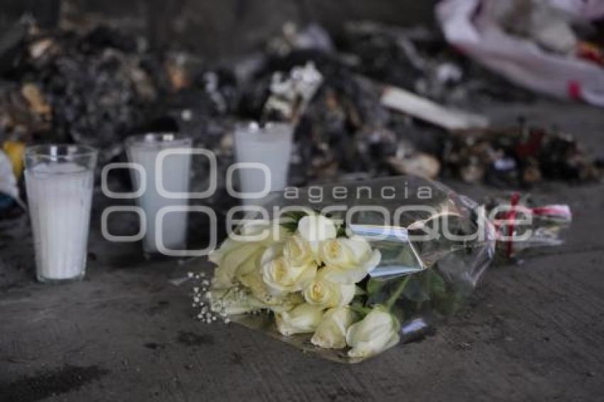 TLAXCALA . PERRO QUEMADO