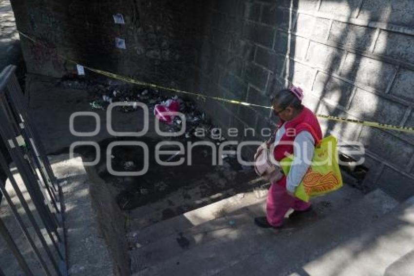 TLAXCALA . PERRO QUEMADO