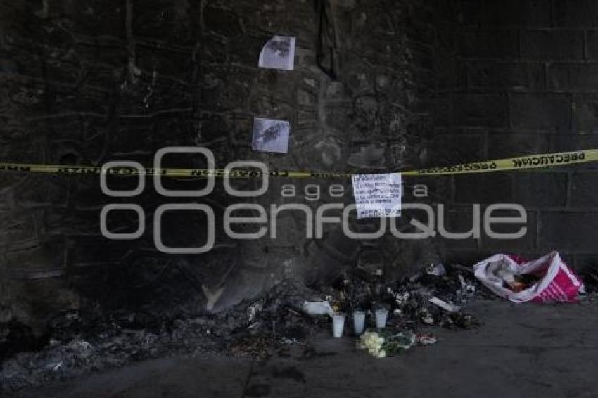 TLAXCALA . PERRO QUEMADO