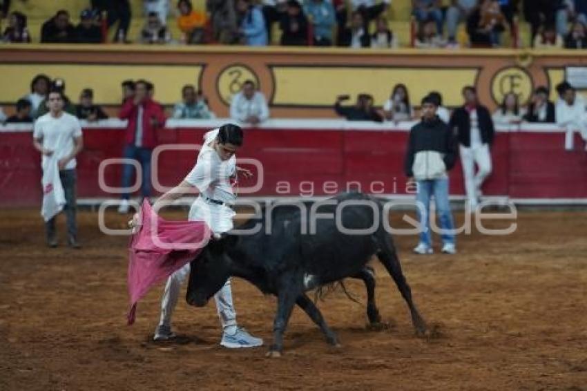 TLAXCALA . SUELTA DE VAQUILLAS