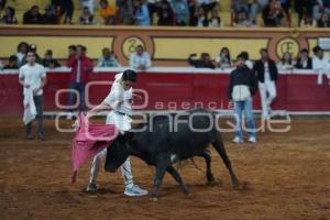 TLAXCALA . SUELTA DE VAQUILLAS