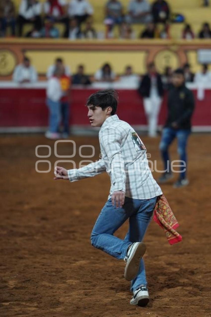 TLAXCALA . SUELTA DE VAQUILLAS