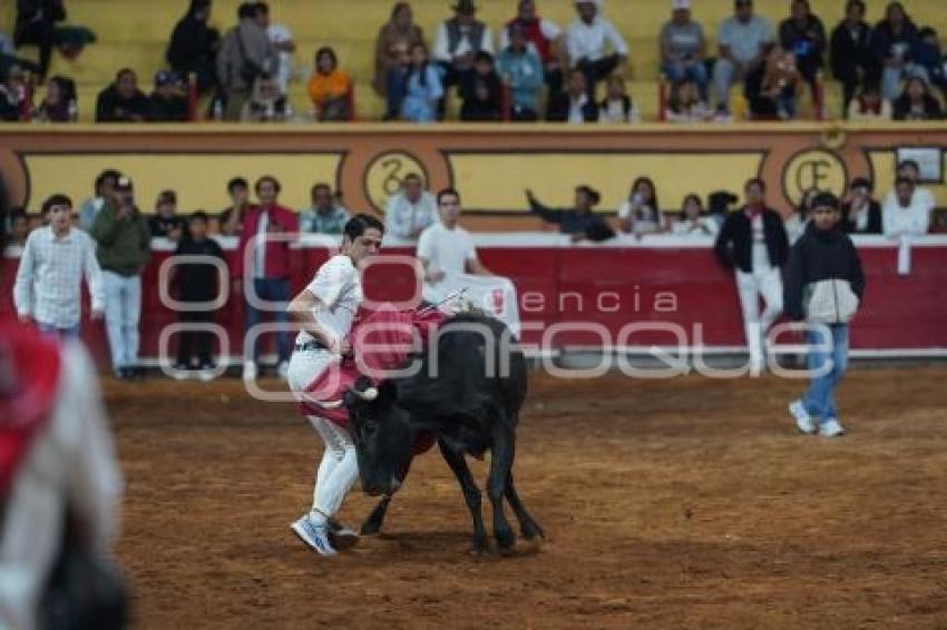 TLAXCALA . SUELTA DE VAQUILLAS