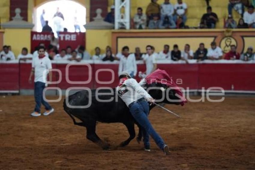 TLAXCALA . SUELTA DE VAQUILLAS