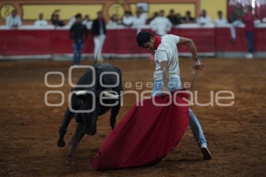 TLAXCALA . SUELTA DE VAQUILLAS