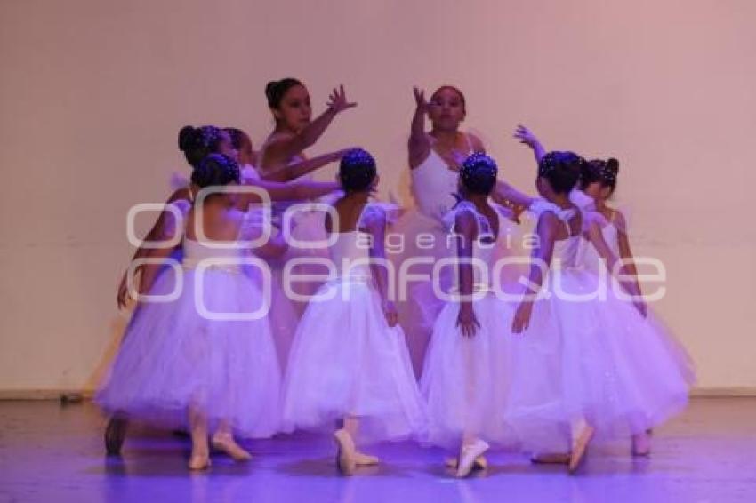 IMACP . VIVE EL INVIERNO