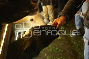 TLAXCALA . NAVIDAD SAN PEDRO TLALCUAPAN