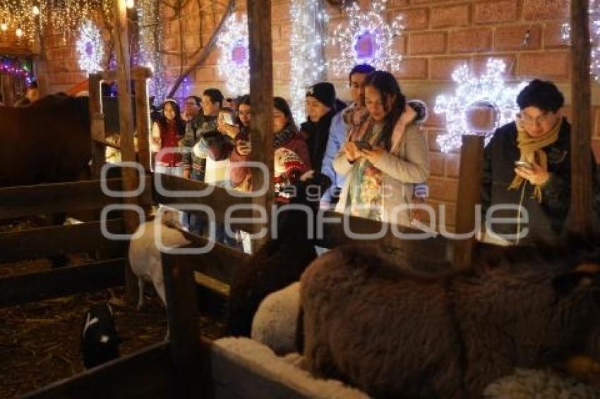 TLAXCALA . NAVIDAD SAN PEDRO TLALCUAPAN