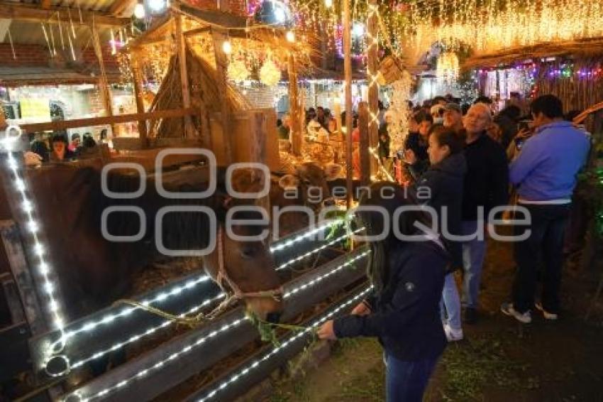 TLAXCALA . NAVIDAD SAN PEDRO TLALCUAPAN