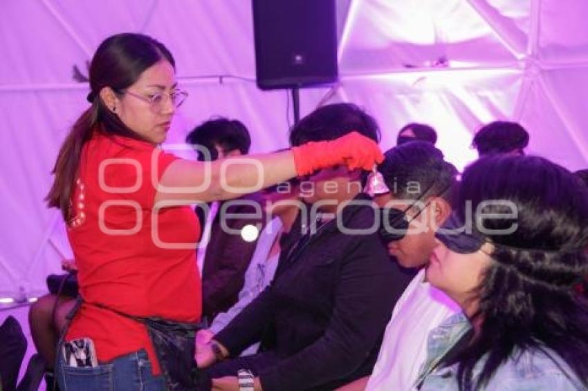 IMACP . DOMO GEODÉSICO