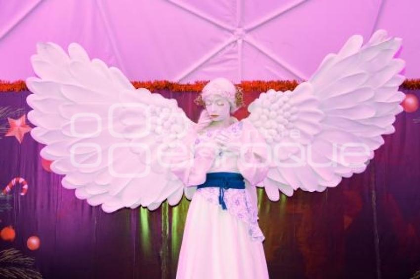 IMACP . DOMO GEODÉSICO