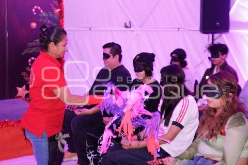 IMACP . DOMO GEODÉSICO