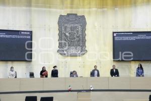 CONGRESO . COMISIÓN PERMANENTE