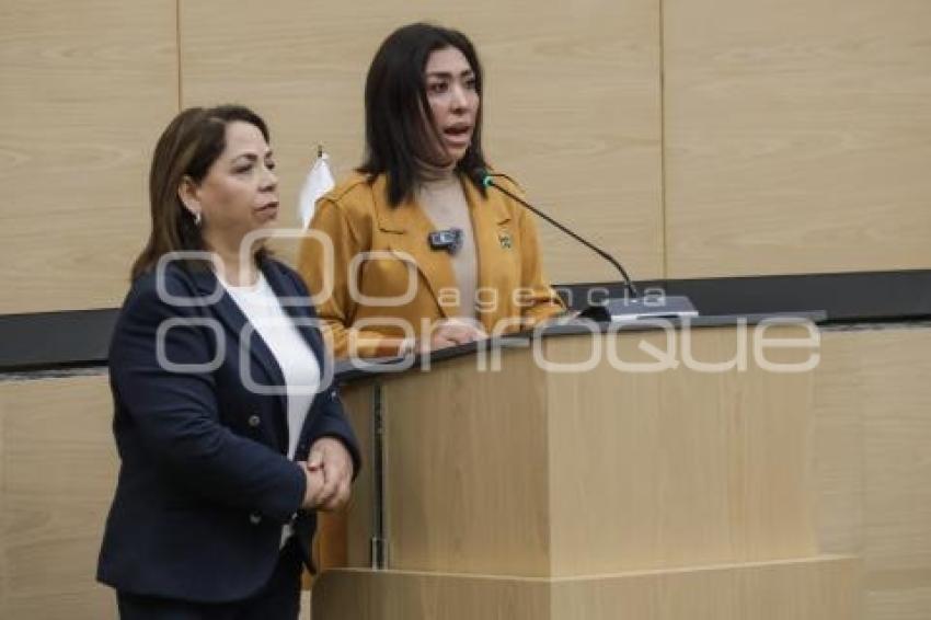 CONGRESO . COMISIÓN PERMANENTE