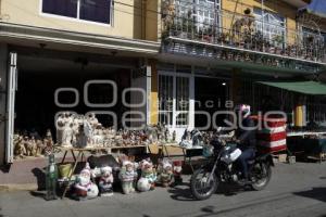 AMOZOC . VENTA DE NACIMIENTOS