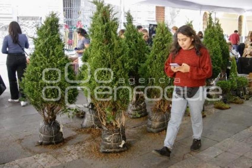 AYUNTAMIENTO . EXPO NAVIDAD