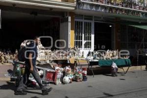 AMOZOC . VENTA DE NACIMIENTOS