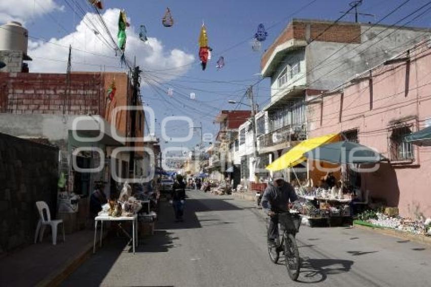 AMOZOC . VENTA DE NACIMIENTOS