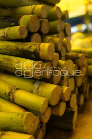 TLAXCALA . FRUTA DE TEMPORADA