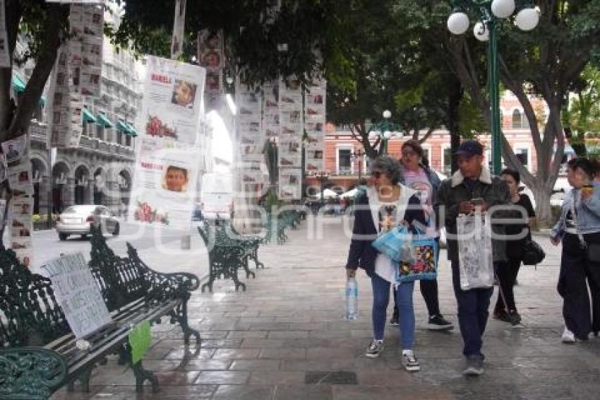 ÁRBOL DE LA ESPERANZA