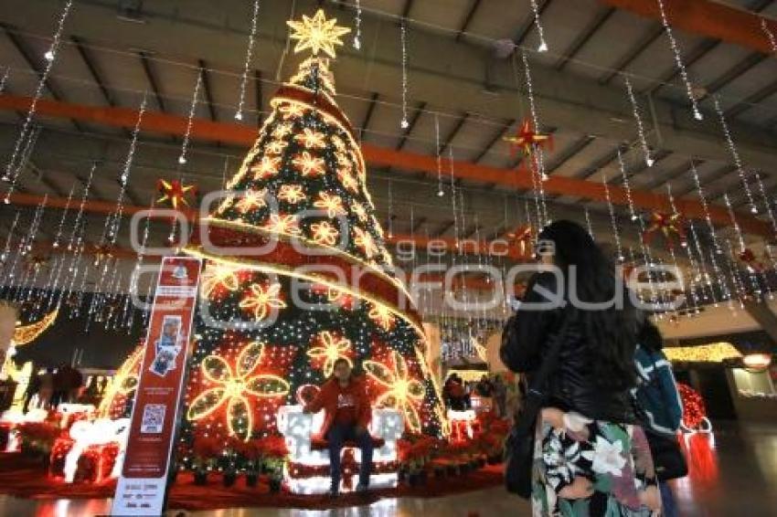 GOBIERNO ESTATAL . FESTIVAL NAVIDEÑO