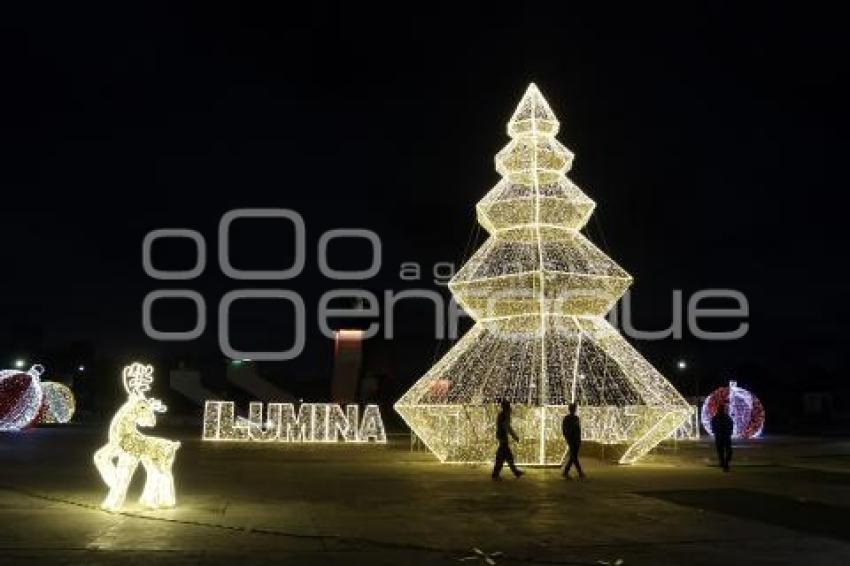 ILUMINACIÓN NAVIDEÑA