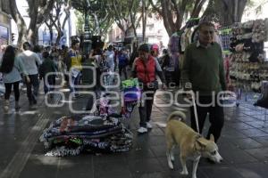 VENDEDORES AMBULANTES 