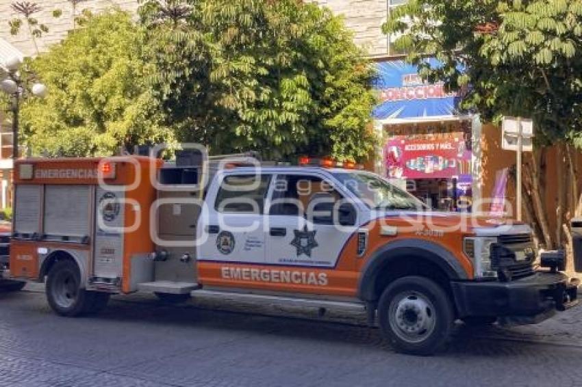 PROTECCIÓN CIVIL. RESTANTE DE ANIMAL