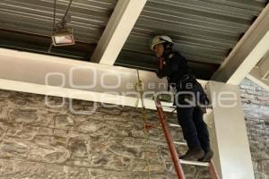 PROTECCIÓN CIVIL. RESTANTE DE ANIMAL