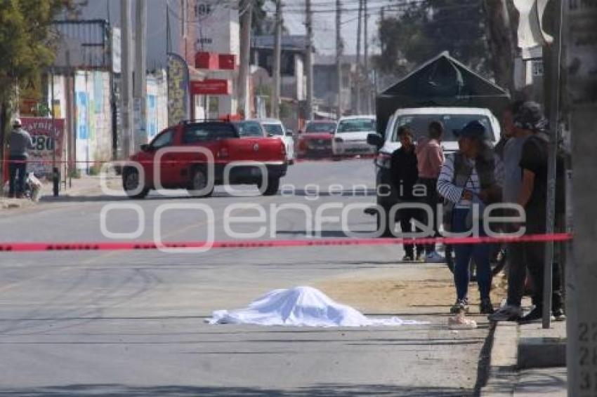 NOTA ROJA . ATROPELLADA