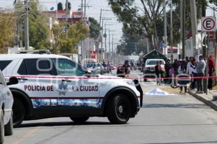 NOTA ROJA . ATROPELLADA