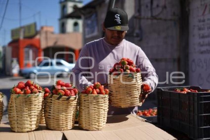TLAXCALA . AUMENTO PRECIO DE FRESAS