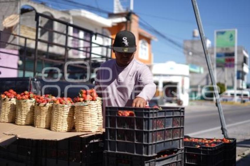 TLAXCALA . AUMENTO PRECIO DE FRESAS