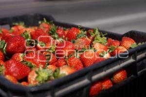 TLAXCALA . AUMENTO PRECIO DE FRESAS