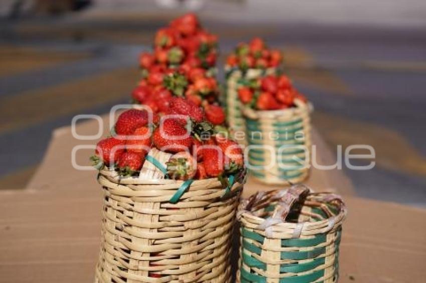 TLAXCALA . AUMENTO PRECIO DE FRESAS