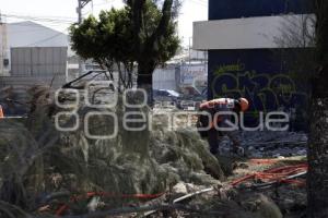 OBRA . PASEO DE LAS Y LOS CAMPEONES