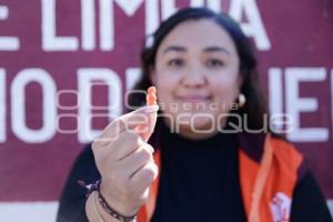 AYUNTAMIENTO . VERDE NAVIDAD