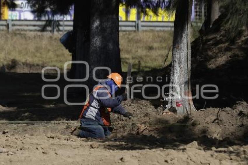 OBRA . PASEO DE LAS Y LOS CAMPEONES