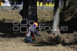 OBRA . PASEO DE LAS Y LOS CAMPEONES