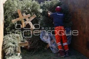 AYUNTAMIENTO . VERDE NAVIDAD