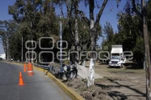 OBRA . PASEO DE LAS Y LOS CAMPEONES