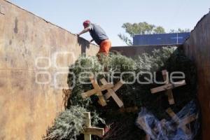 AYUNTAMIENTO . VERDE NAVIDAD