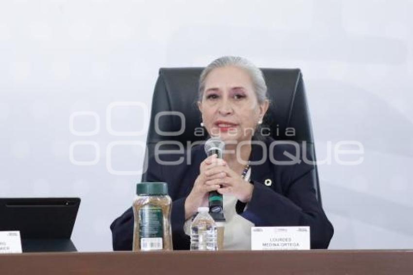 LOURDES MEDINA ORTEGA