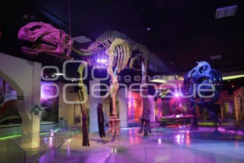 MUSEO DE LA EVOLUCIÓN . DÉCIMO ANIVERSARIO