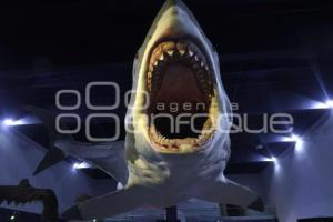 MUSEO DE LA EVOLUCIÓN . DÉCIMO ANIVERSARIO