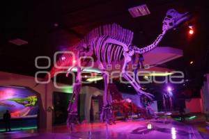 MUSEO DE LA EVOLUCIÓN . DÉCIMO ANIVERSARIO