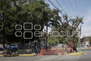 REHABILITACIÓN CRUCEROS