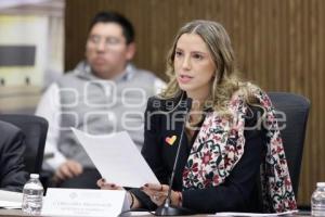 COMPARECENCIA . TURISMO