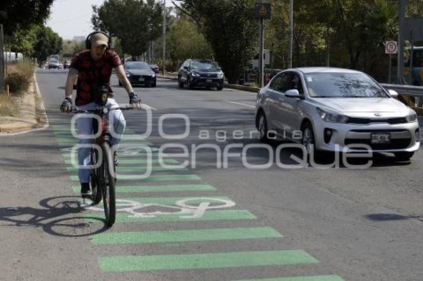 CICLOPISTA . BULEVAR FORJADORES
